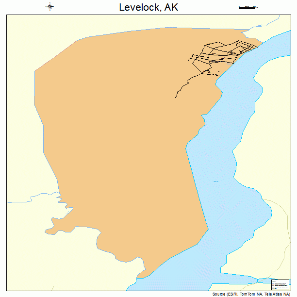 Levelock, AK street map