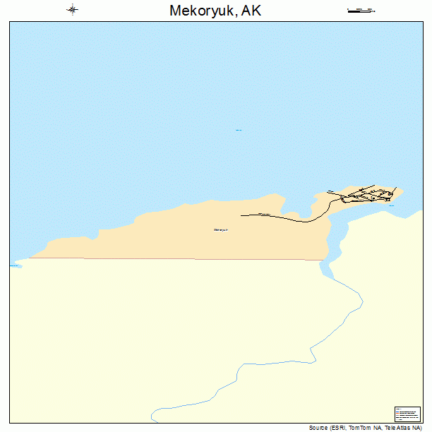 Mekoryuk, AK street map