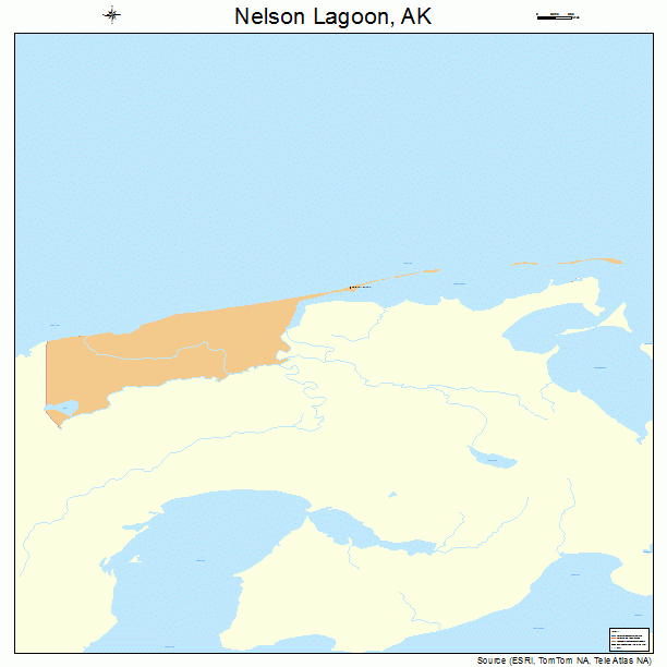 Nelson Lagoon, AK street map