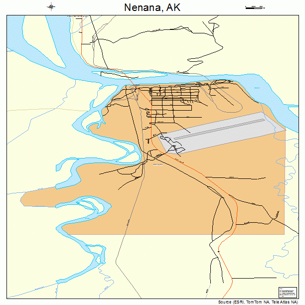 Nenana, AK street map