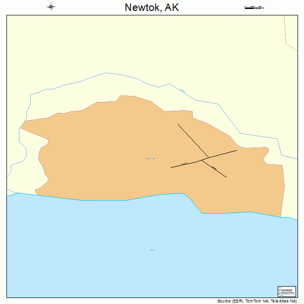 Newtok, AK street map