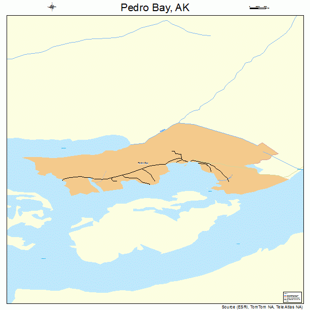 Pedro Bay, AK street map