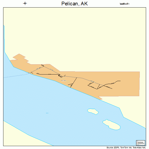 Pelican, AK street map