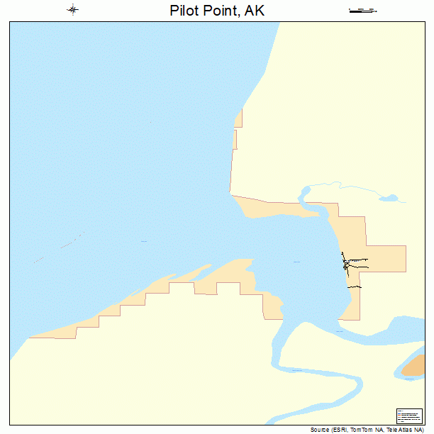 Pilot Point, AK street map