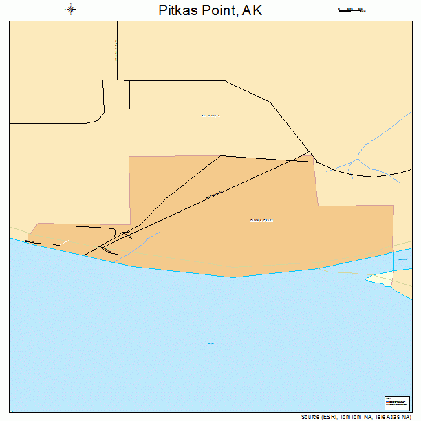 Pitkas Point, AK street map