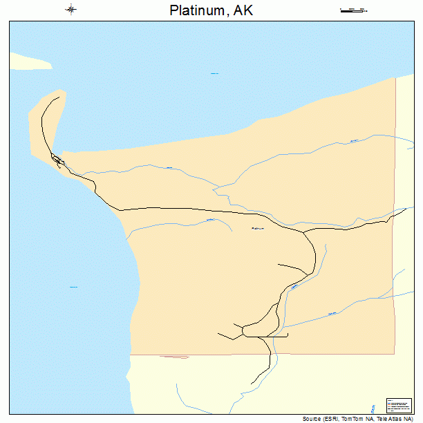 Platinum, AK street map