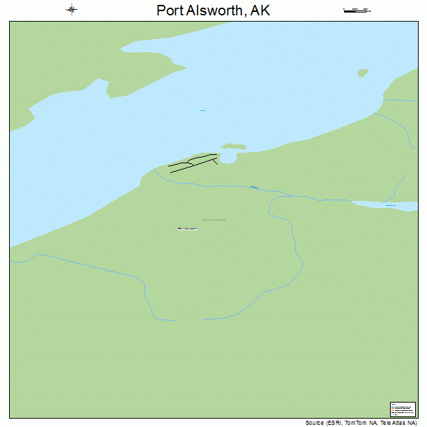 Port Alsworth, AK street map