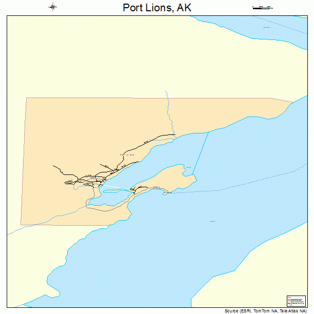 Port Lions, AK street map