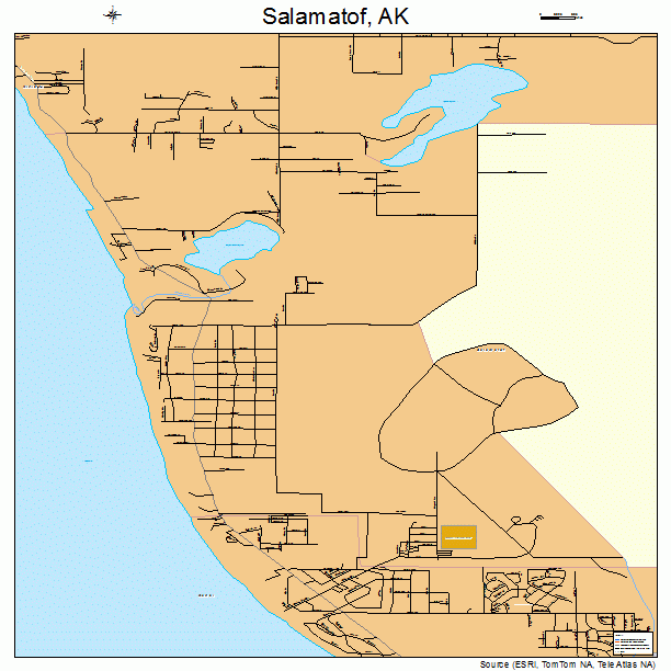 Salamatof, AK street map