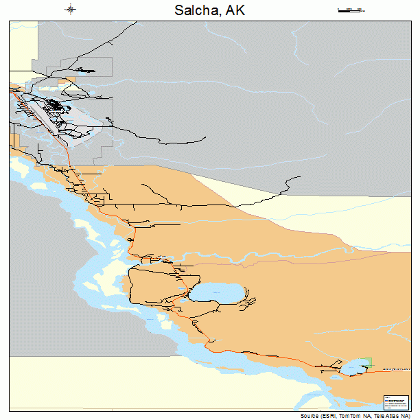 Salcha, AK street map