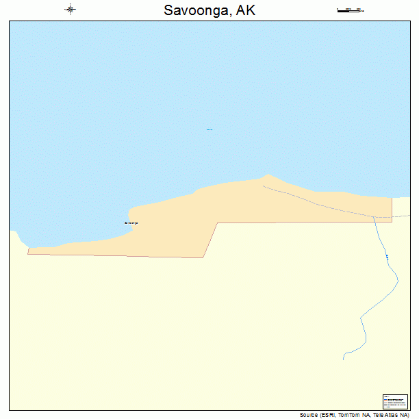 Savoonga, AK street map