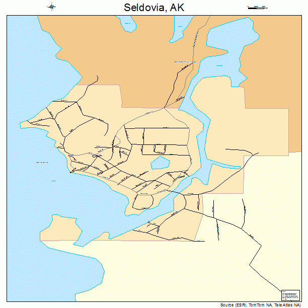 Seldovia, AK street map