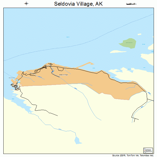 Seldovia Village, AK street map