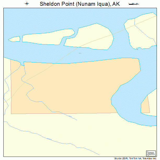 Sheldon Point (Nunam Iqua), AK street map