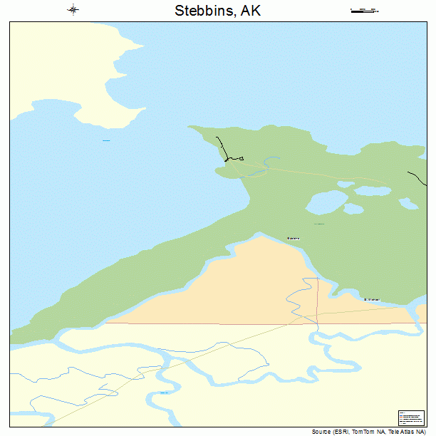 Stebbins, AK street map