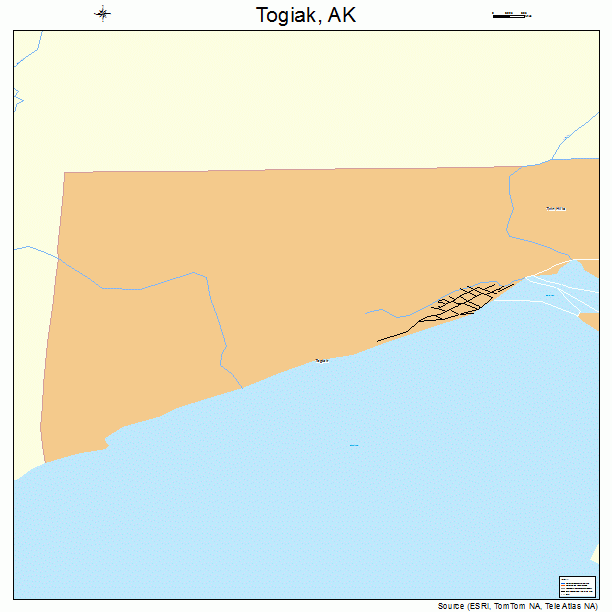 Togiak, AK street map