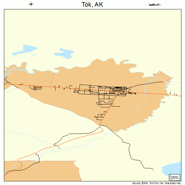 Tok, AK street map