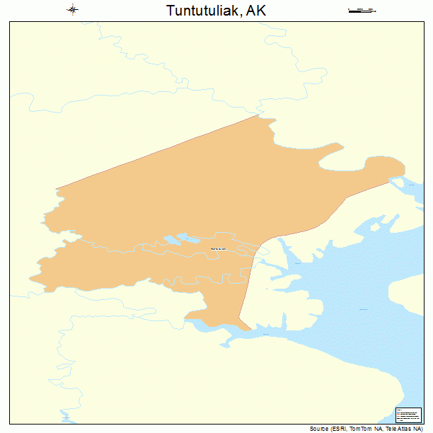 Tuntutuliak, AK street map