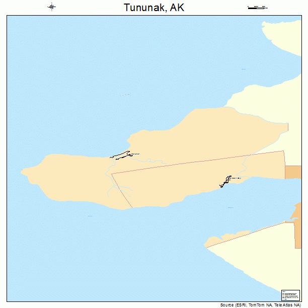 Tununak, AK street map