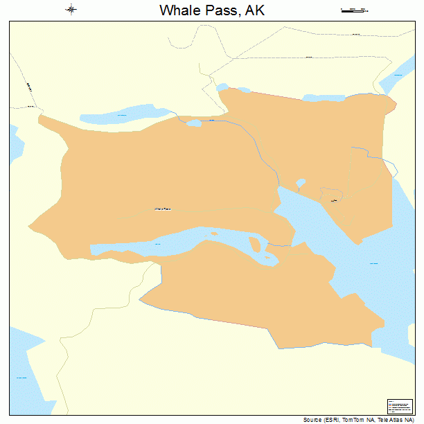 Whale Pass, AK street map