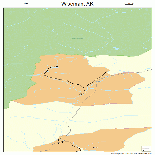 Wiseman, AK street map