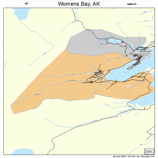 Womens Bay, AK street map