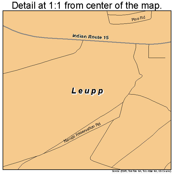 Leupp, Arizona road map detail
