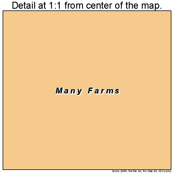 Many Farms, Arizona road map detail