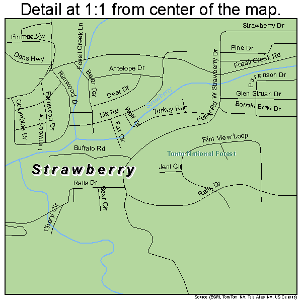 Strawberry, Arizona road map detail