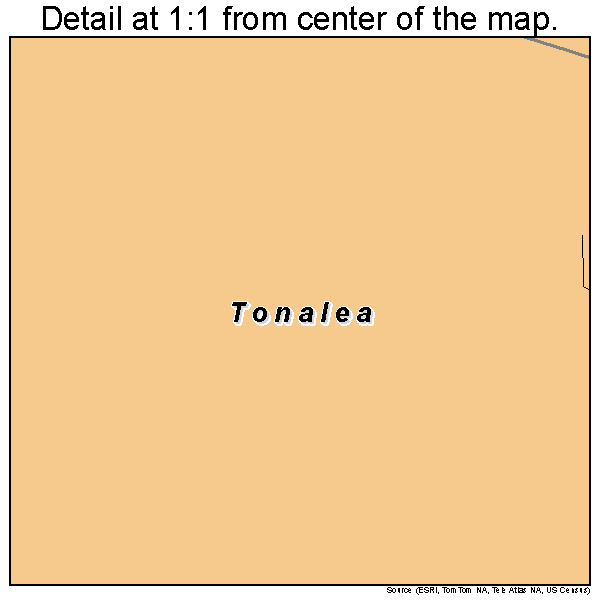 Tonalea, Arizona road map detail