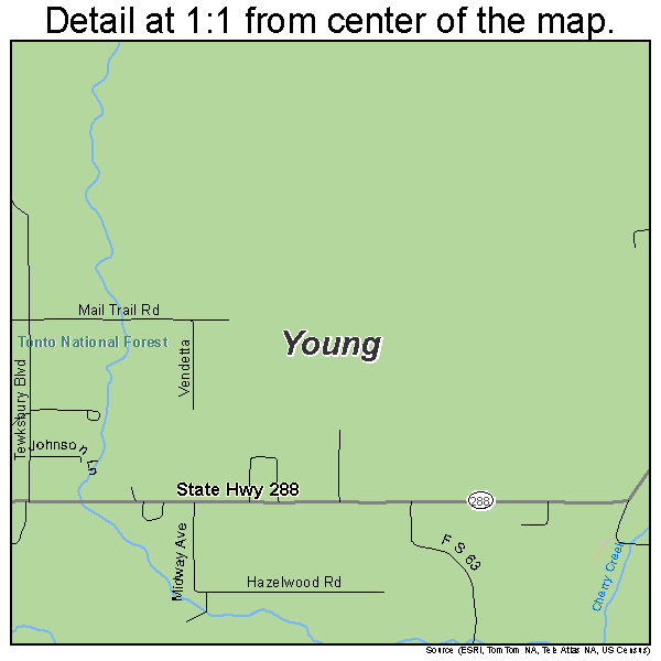 Young, Arizona road map detail