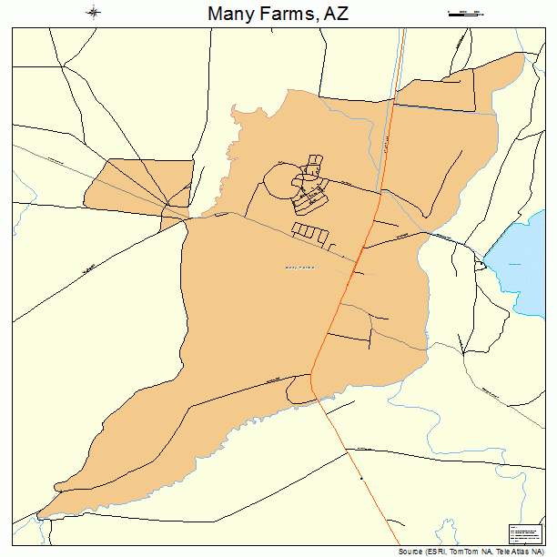 Many Farms, AZ street map