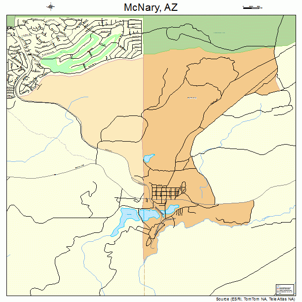 McNary, AZ street map