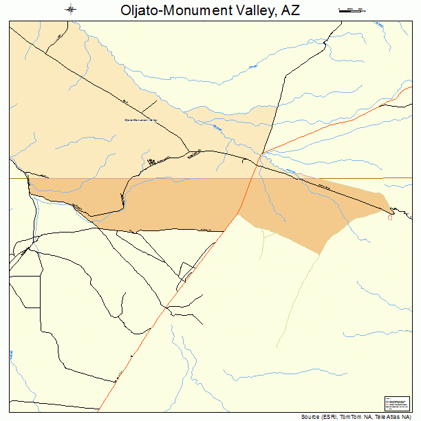 Oljato-Monument Valley, AZ street map