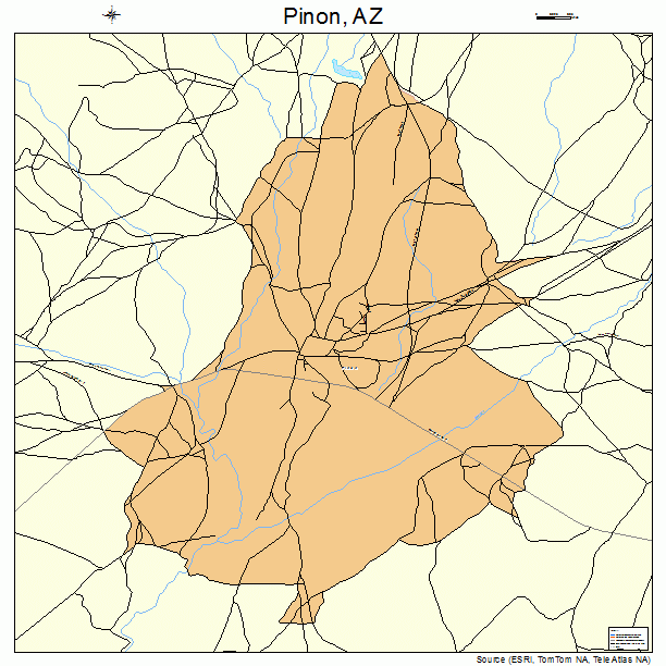 Pinon, AZ street map