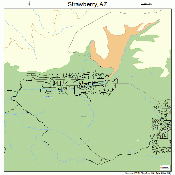 Strawberry, AZ street map