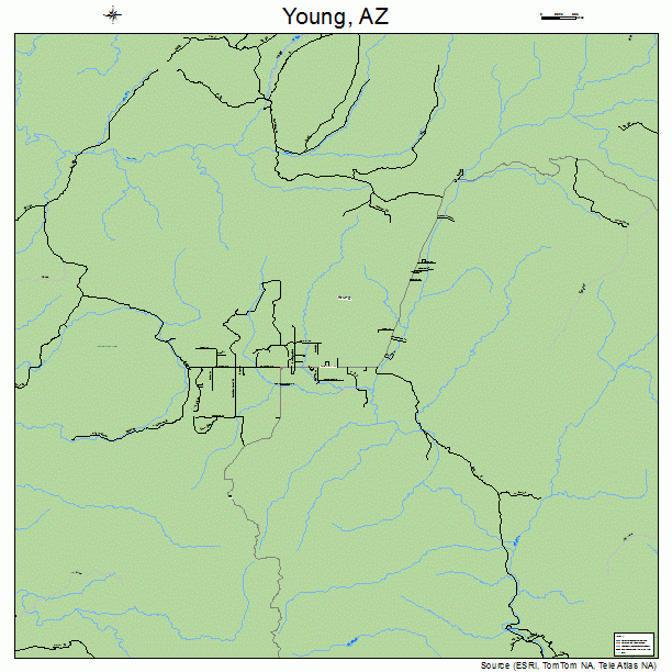 Young, AZ street map