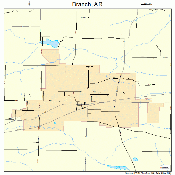 Branch, AR street map