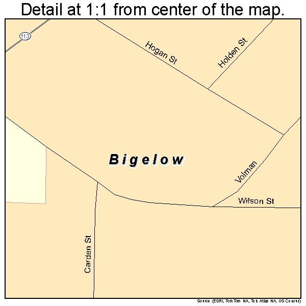 Bigelow, Arkansas road map detail
