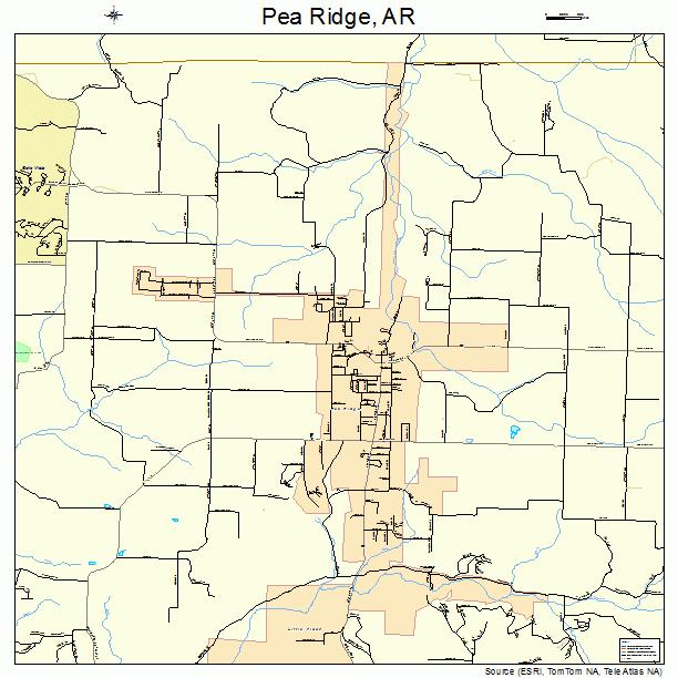 Pea Ridge, AR street map