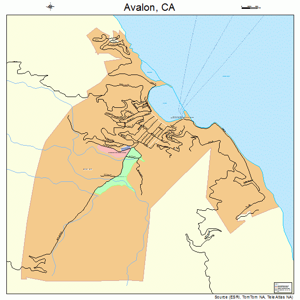 Avalon, CA street map