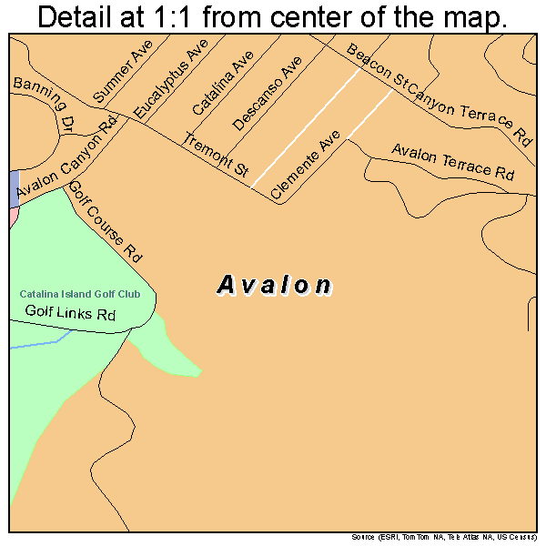 Avalon, California road map detail