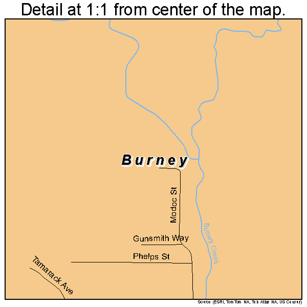 Burney, California road map detail