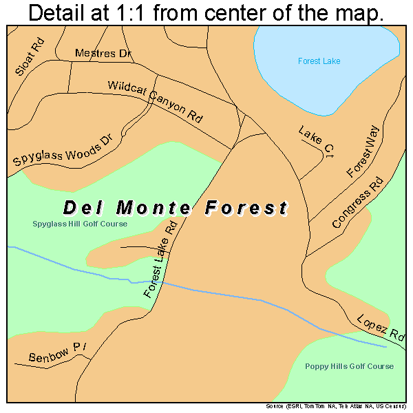 Del Monte Forest, California road map detail