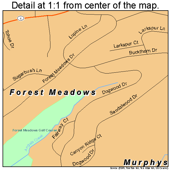 Forest Meadows, California road map detail