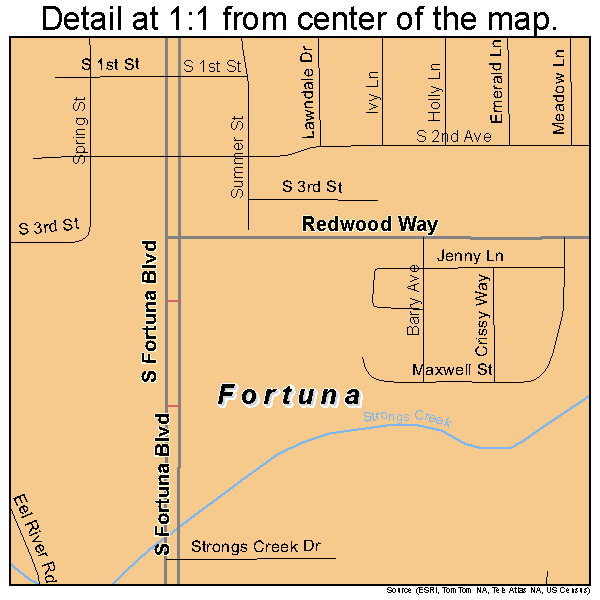 Fortuna, California road map detail