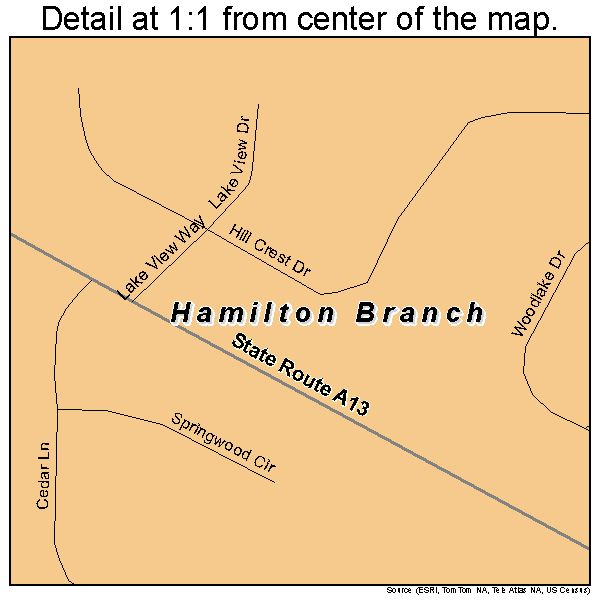 Hamilton Branch, California road map detail