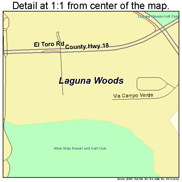 Laguna Woods, California road map detail