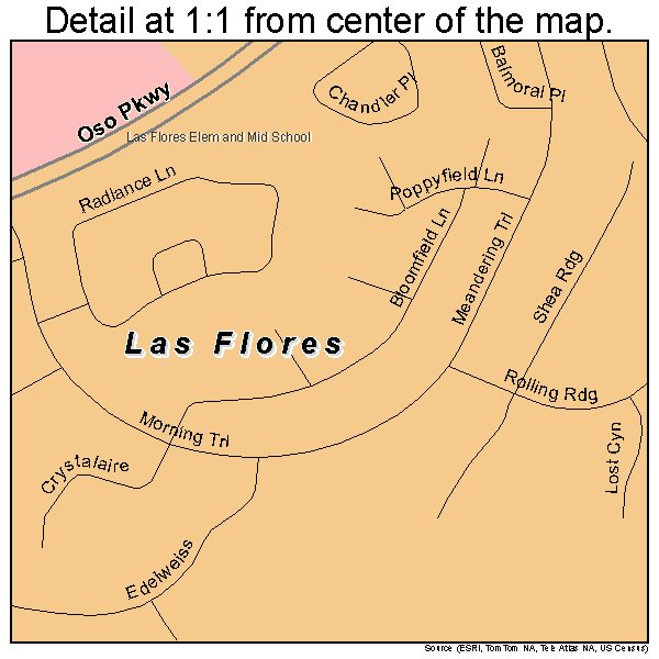 Las Flores, California road map detail