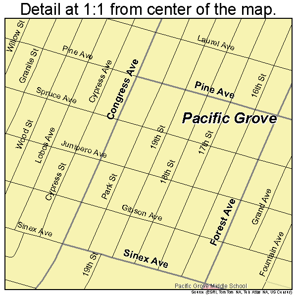 Pacific Grove, California road map detail